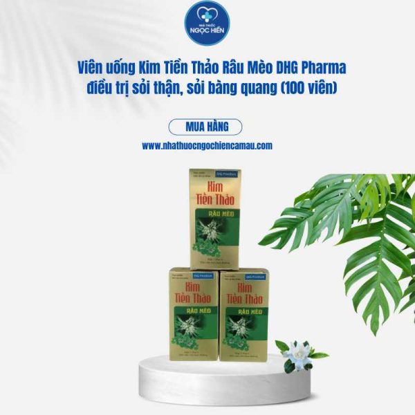 Viên uống Kim Tiền Thảo Râu Mèo DHG Pharma