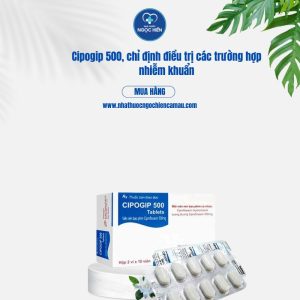 Cipogip 500, chỉ định điều trị các trường hợp nhiễm khuẩn